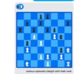 Checkmate
