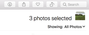 Little Photos shortcut