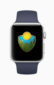 A picture of one of the new Apple Watch awards