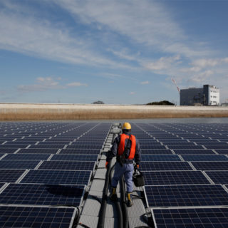 A picture of one of Apple's massive solar panels