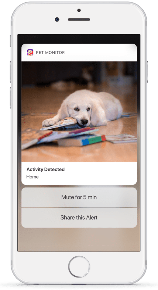 5 useful iPhone gadgets for dog lovers Apple Must