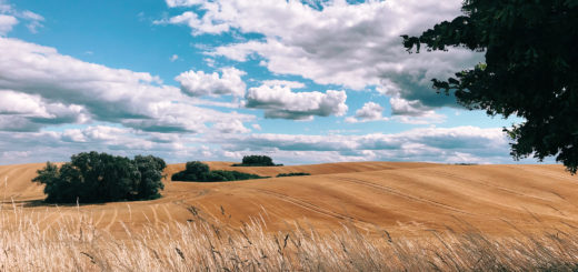 RobertGlaserShotoniPhone