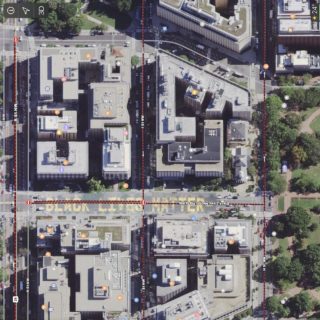 'Black Lives Matter'