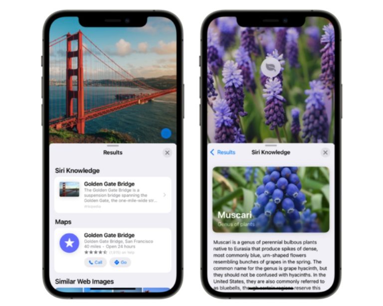 Ios System Look How to use Apple’s clever Visual Look Up system in iOS 15 – Apple Must
